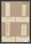 Navicula digitato-radiata (Greg.) Ralfs. (de-Toni-Nr.: Genus 1, Species 124) Zeichnungen Sammlung Grunow Nr. 379 (NHMW-BOT-W0366675)